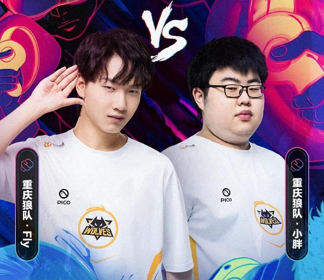 角草的交替 角草的交替